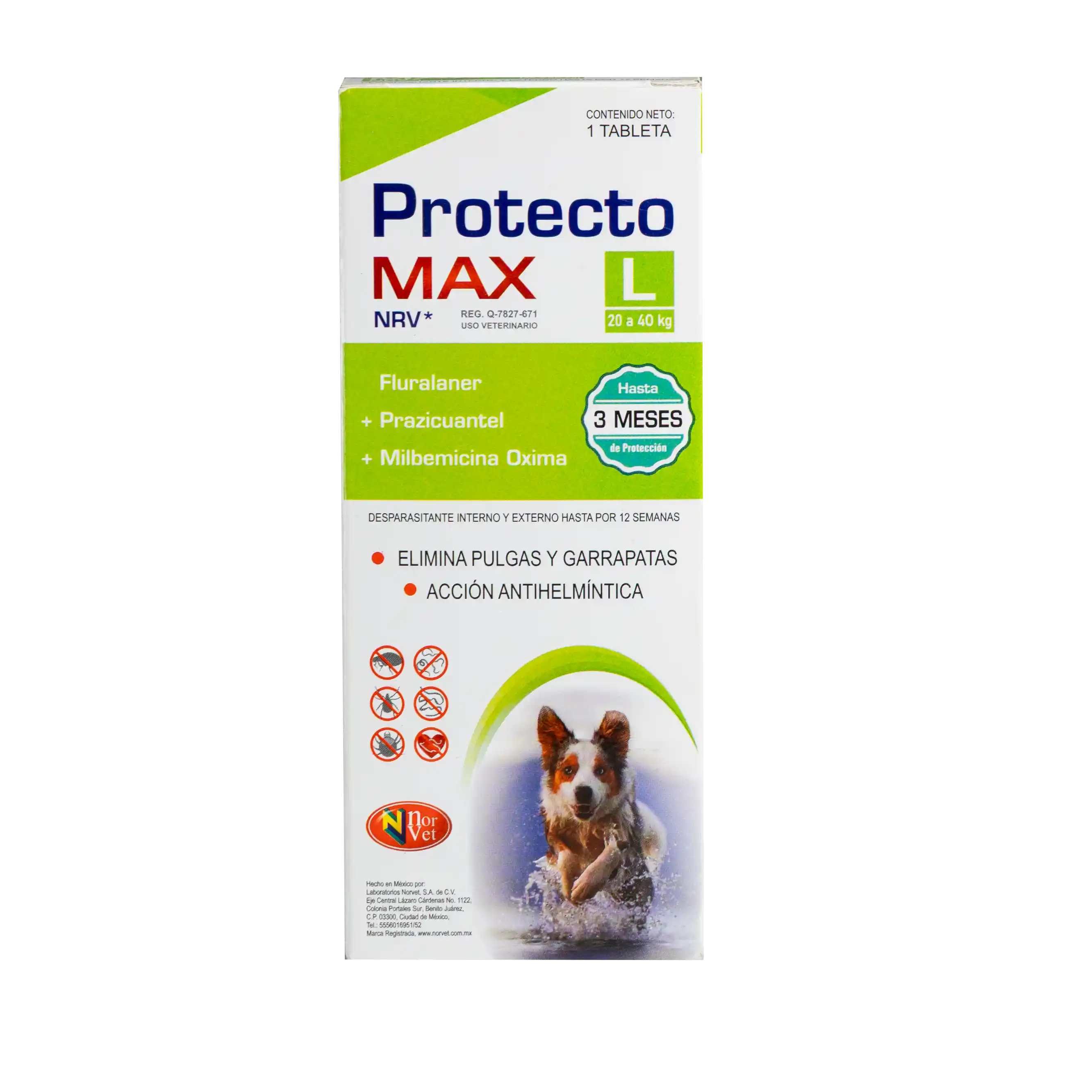 protecto-max